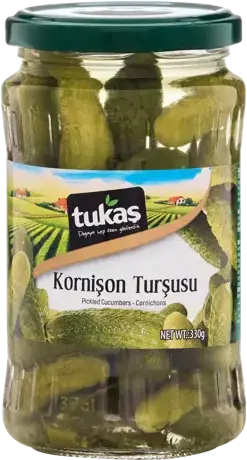 KORNİŞON TURŞU No:00